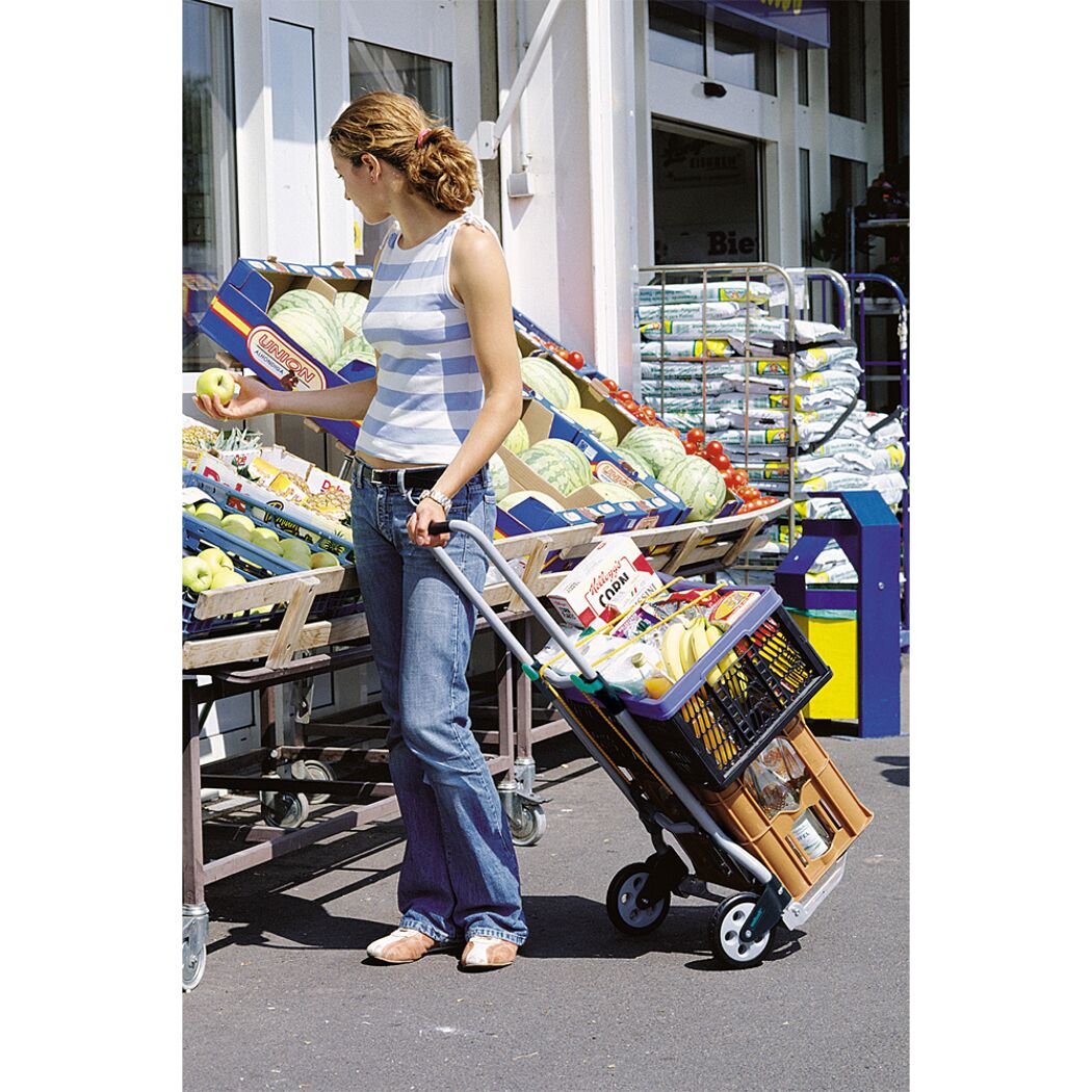 Person mit Einkaufswagen vor Obststand