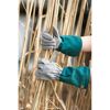Person mit Gartenhandschuhen hält Schilf fest