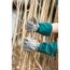 Person mit Gartenhandschuhen hält Schilf fest