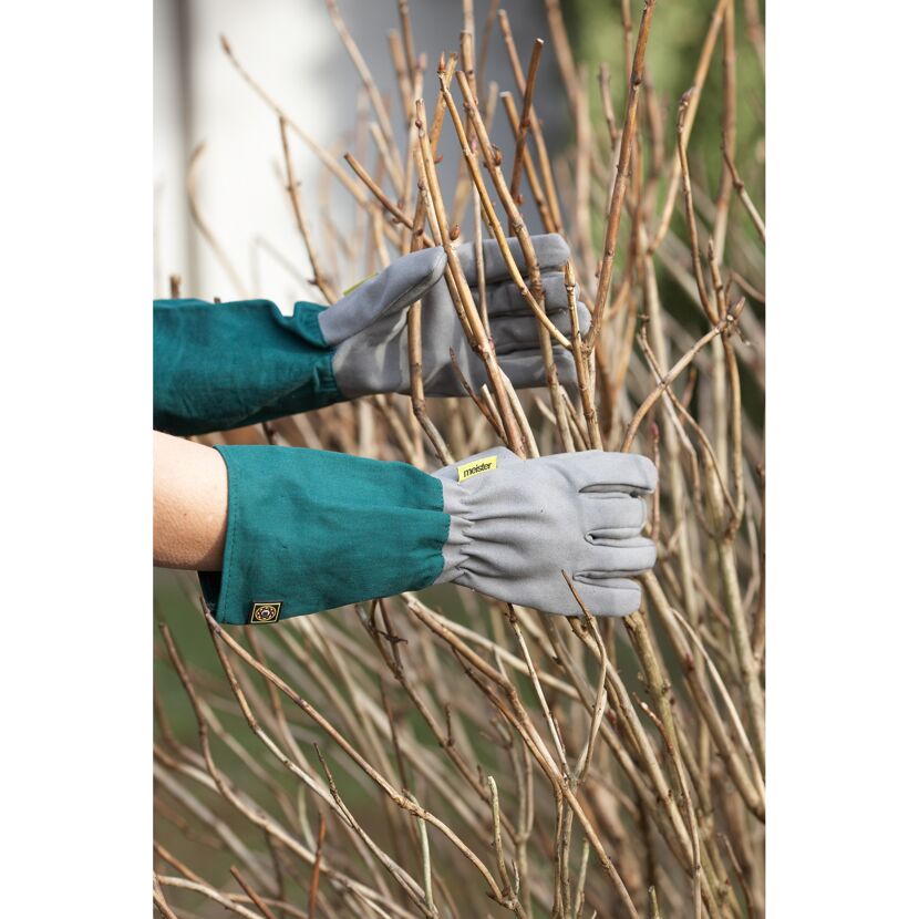 Person mit Gartenhandschuhen hält trockene Zweige