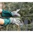 Person mit Gartenhandschuhen greift nach Tannenzweig