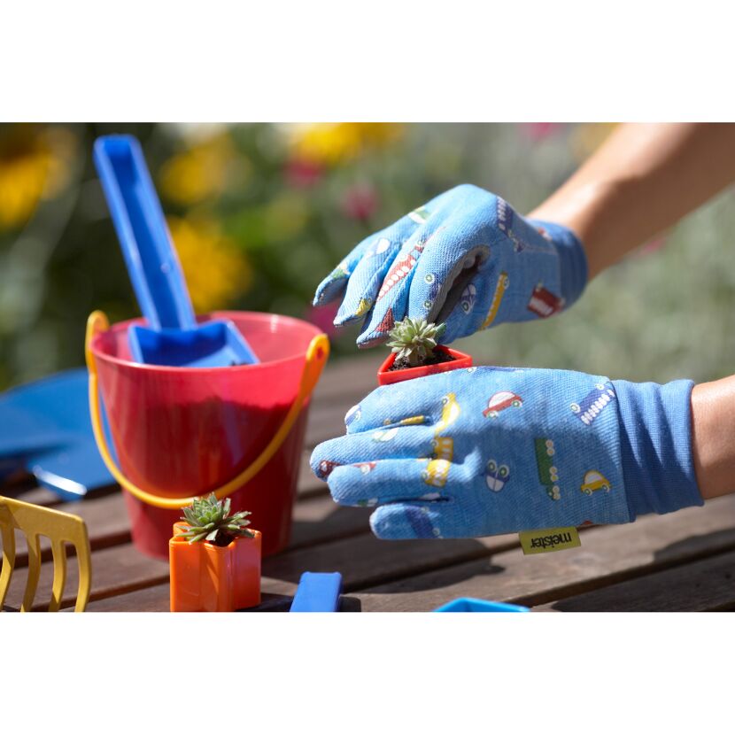 Person pflanzt Sukkulente mit Gartenhandschuhen ein