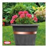 Blumentopf mit rosa Geranien und Kupferband