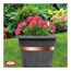 Blumentopf mit rosa Geranien und Kupferband