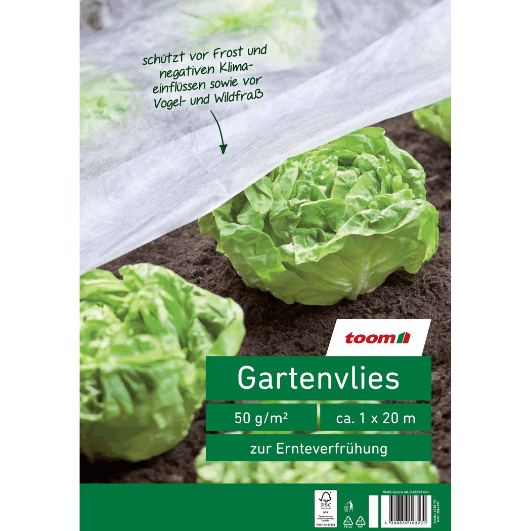 Gartenvlies schützt Salat vor Frost, Klima und Wildfraß
