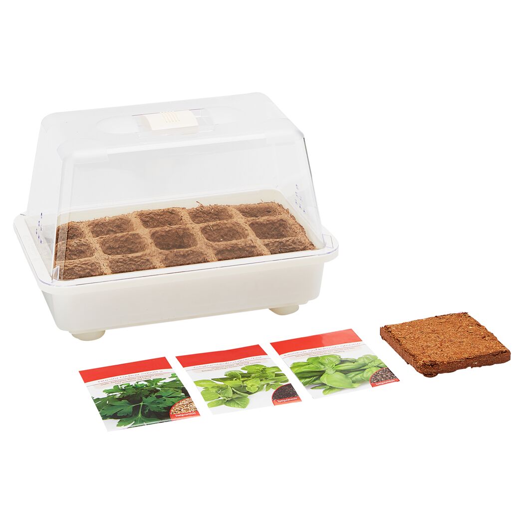 Mini-Gewächshaus mit Kräutersamen