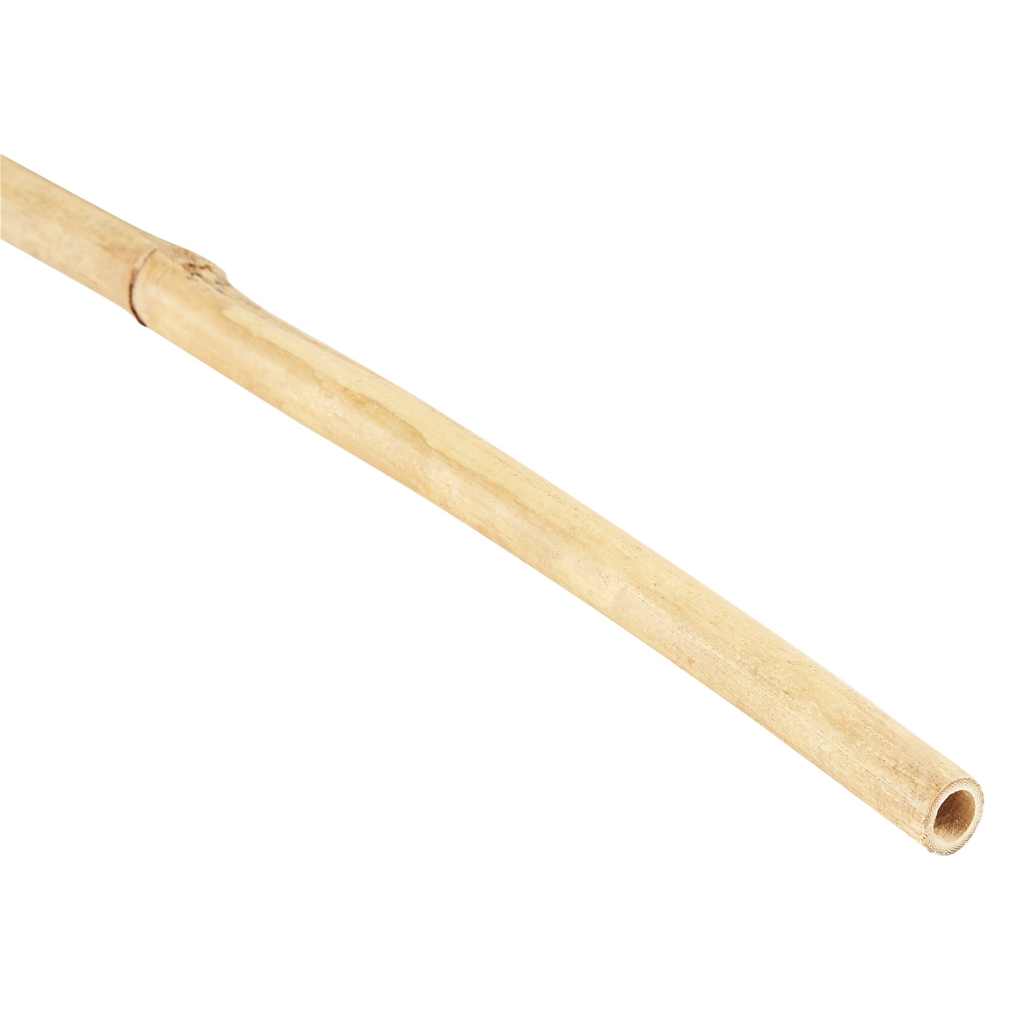Bambusstab 150 cm, Ø 12/14 mm