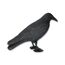 Vogelabwehr Rabe 38 x 25 x 12 cm