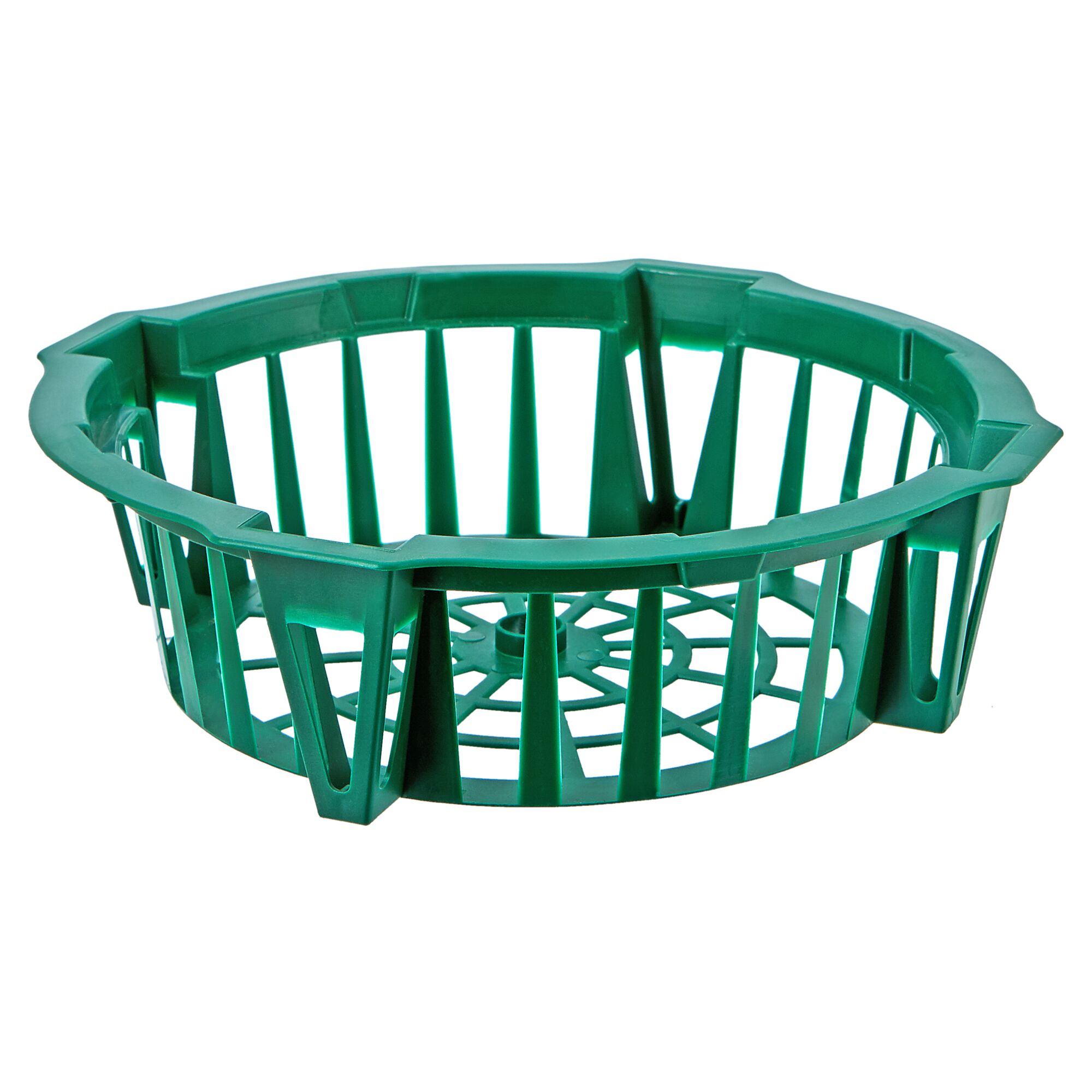 Grüne Zwiebelpflanzschale aus Kunststoff.