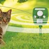 Tiervertreiber PRO Ultraschall vertreibt Katze vom Rasen