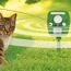 Tiervertreiber PRO Ultraschall vertreibt Katze vom Rasen