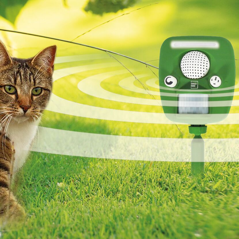 Tiervertreiber PRO Ultraschall vertreibt Katze vom Rasen