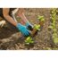Person pflanzt Setzling mit Gartenhandschuhen ein