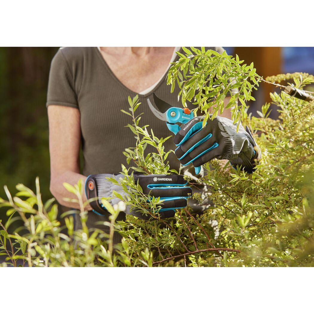 Person schneidet mit Gartenschere Äste