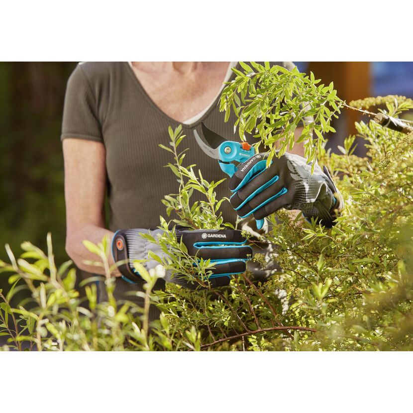 Person schneidet mit Gartenschere Äste