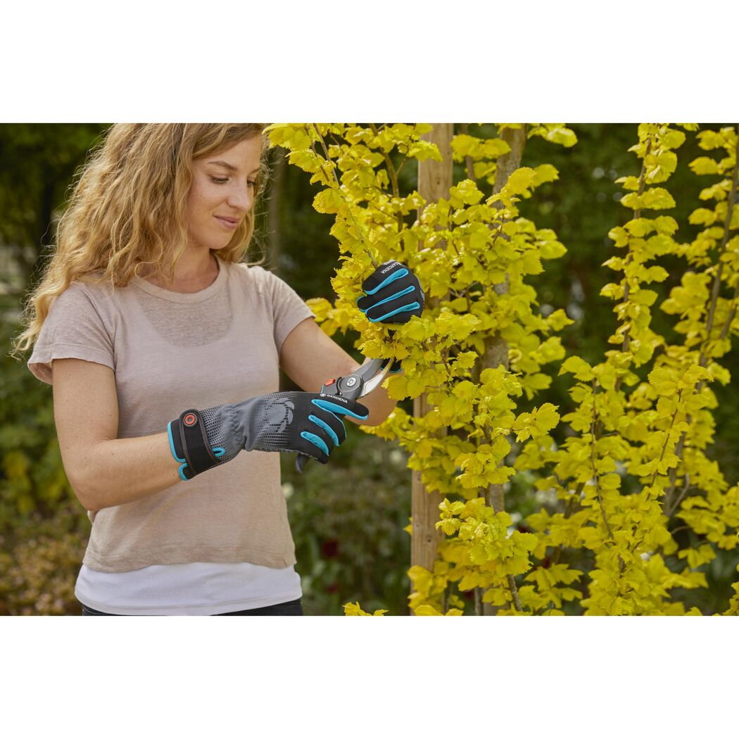 Person schneidet mit Gartenschere einen Strauch
