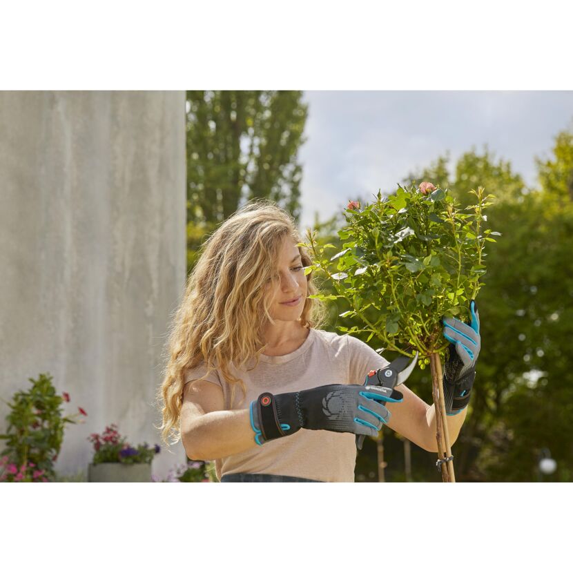 Person schneidet Rosen mit Gartenschere