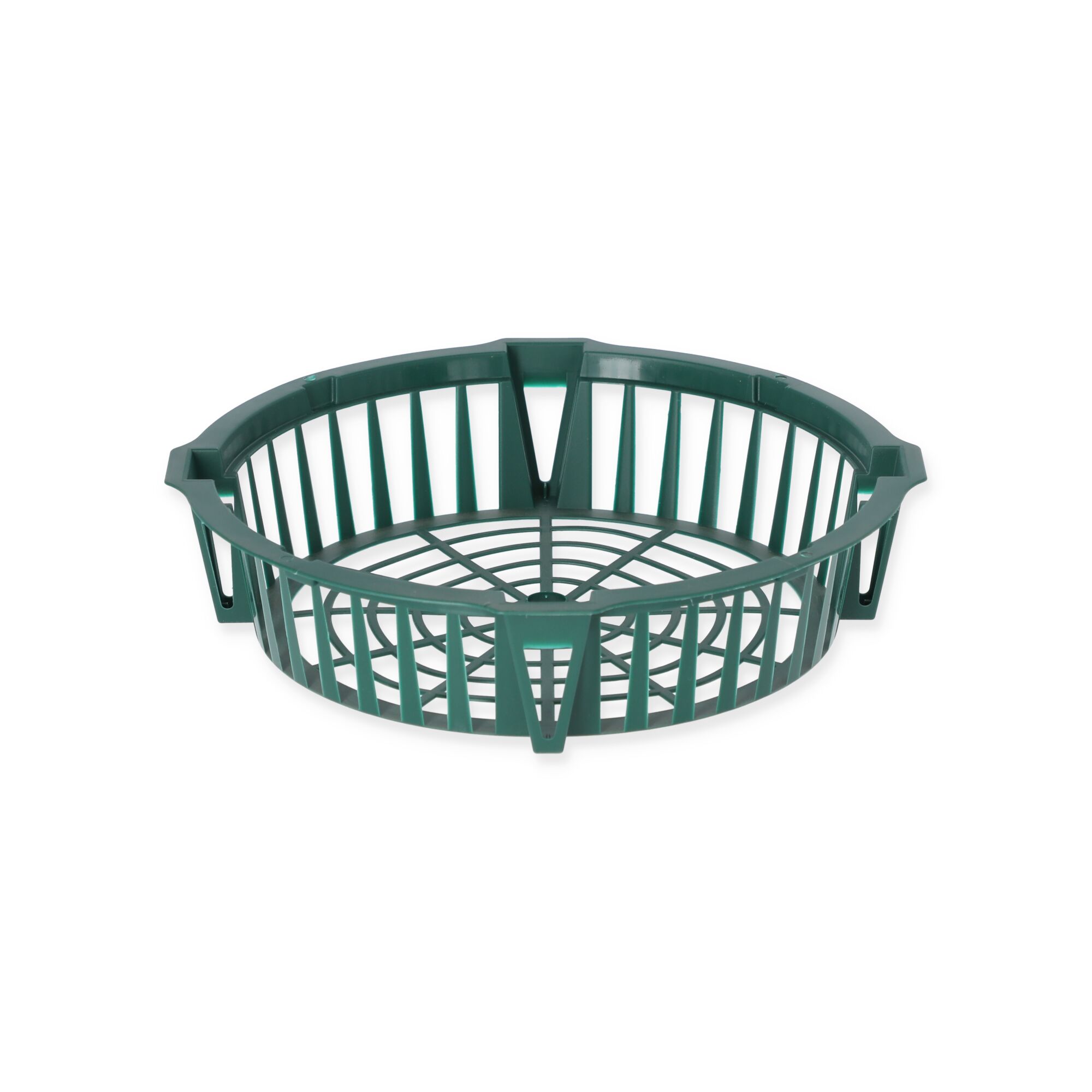 Grüne Zwiebelpflanzschale