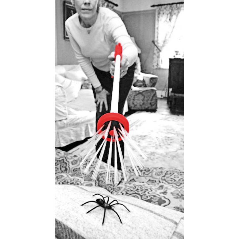 Person fängt Spinne mit Spinnenfänger