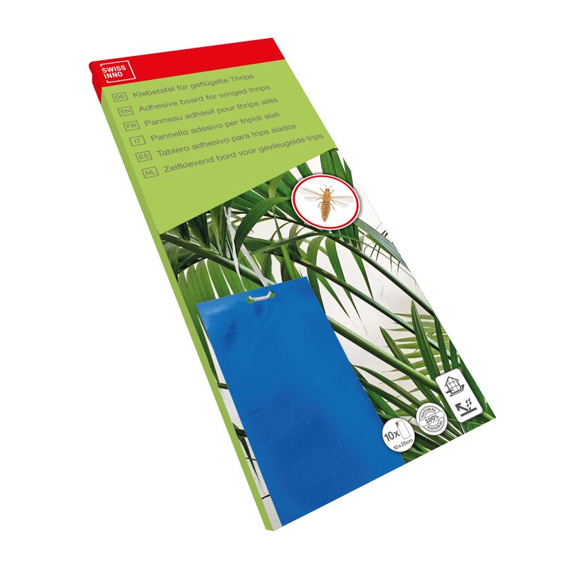Blaue Klebetafeln für Thrips