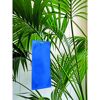 Blaue Klebefalle an einer Pflanze