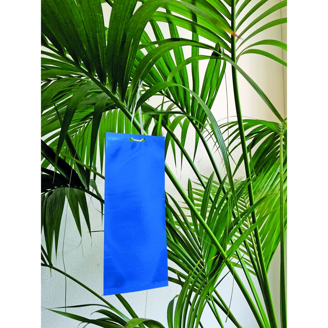 Blaue Klebefalle an einer Pflanze