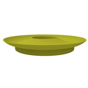 Anzuchthilfe Avocado Kit grün Ø 15 cm