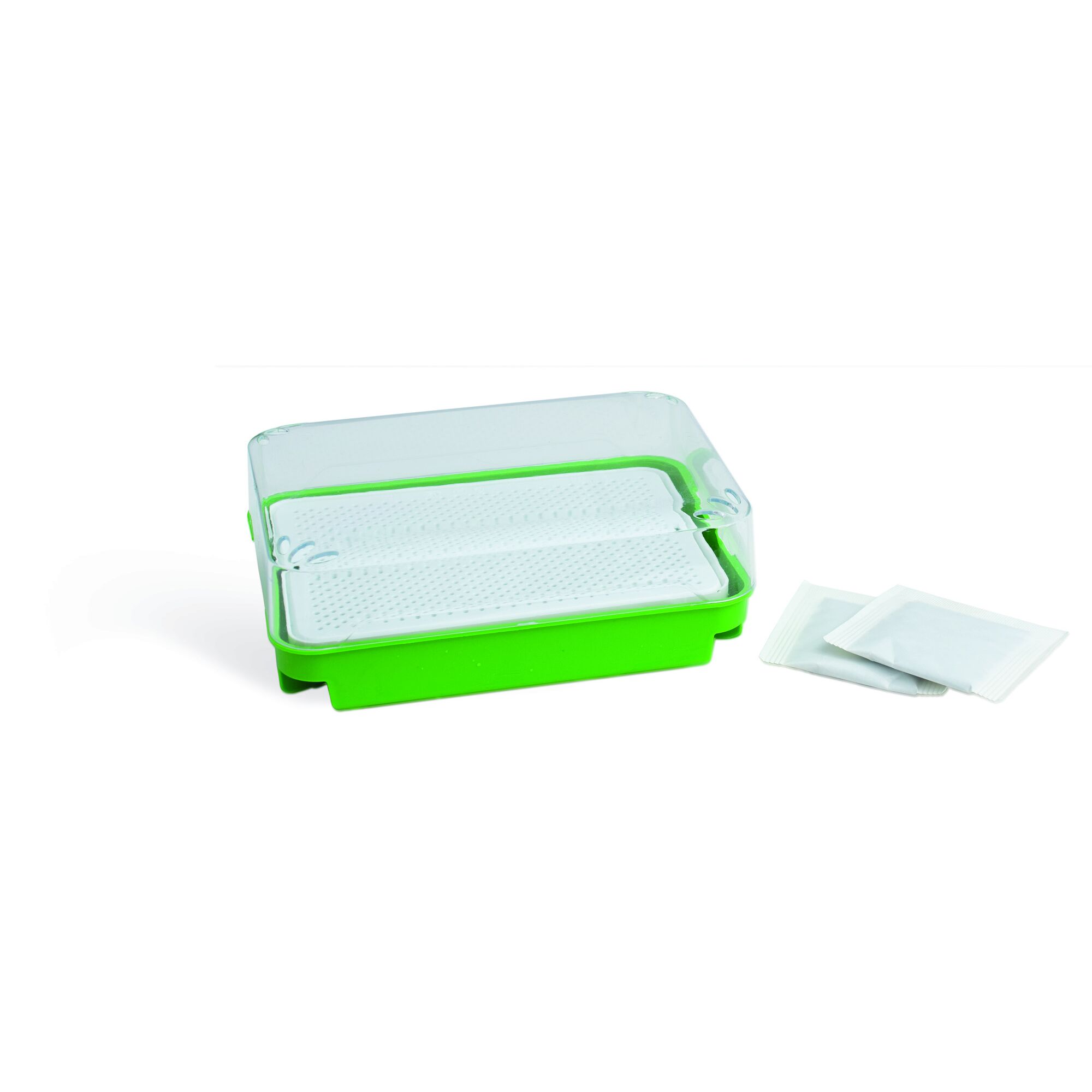 Kresse Anzucht Set inklusive Saatgut