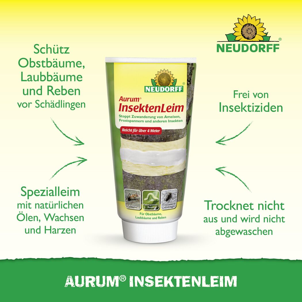 Aurum Insektenleim  125 g