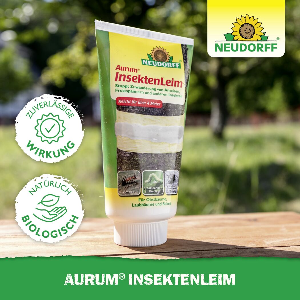 Aurum Insektenleim  125 g