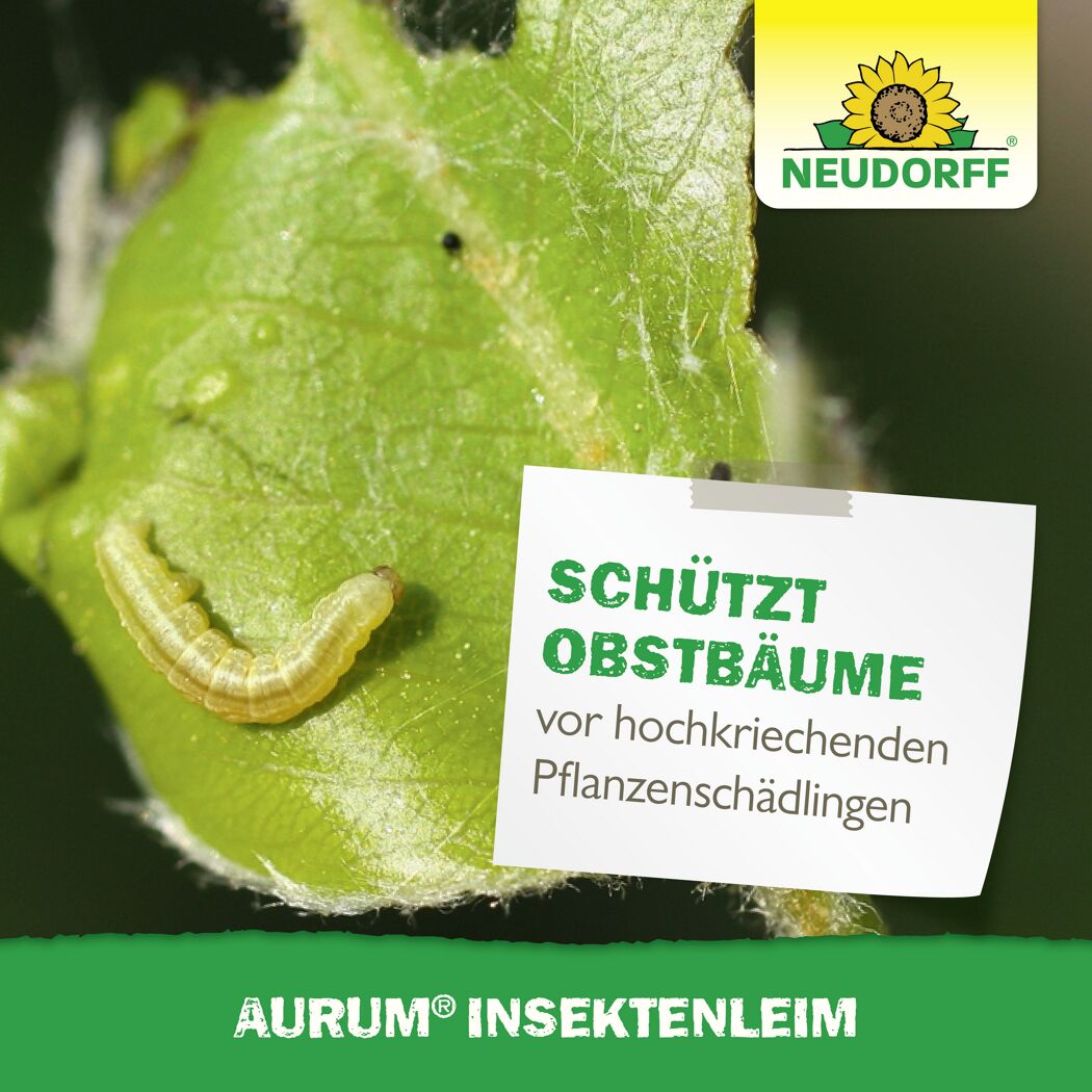 Aurum Insektenleim  125 g