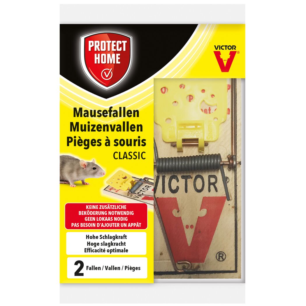 Zwei Victor Mausefallen Classic in Verpackung