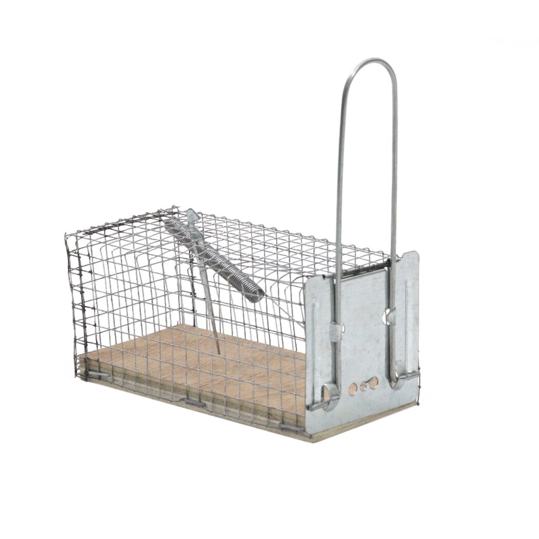 Drahtkäfig