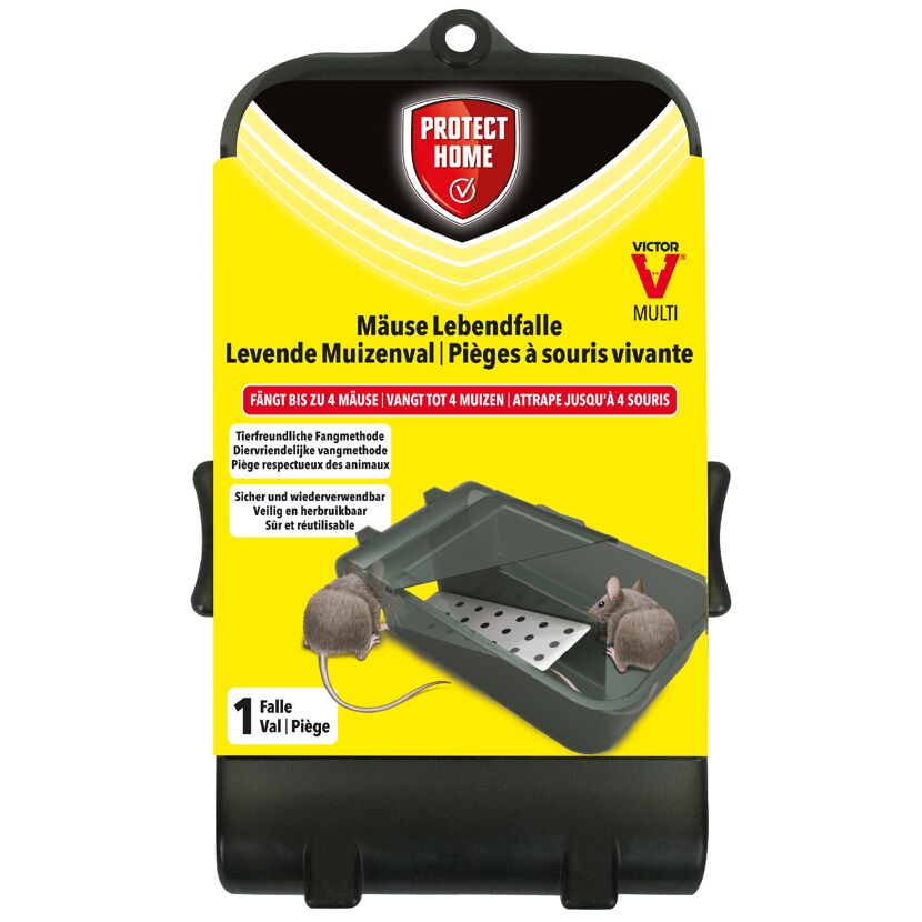 Lebendfalle Protect Home für Mäuse