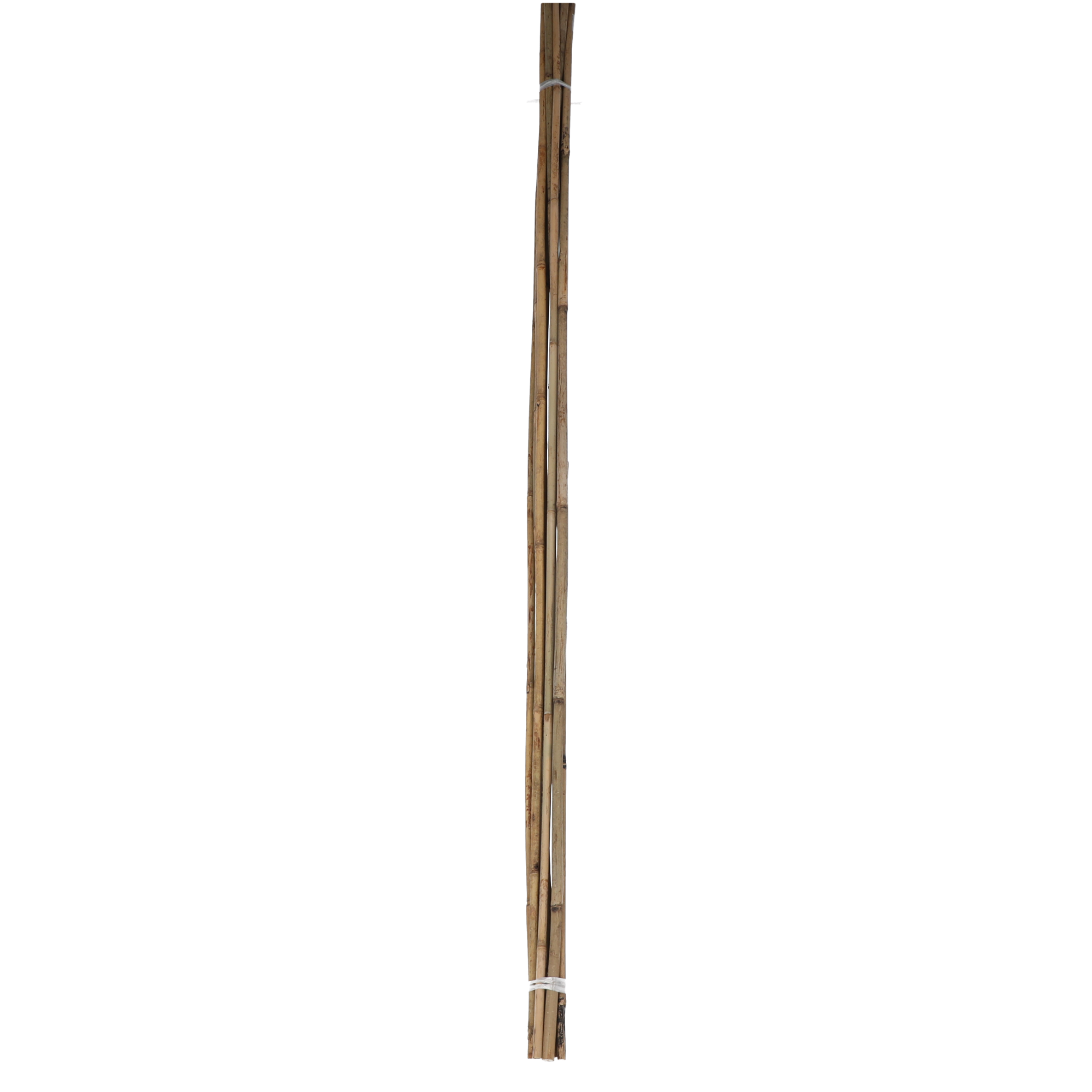 Pflanzstab Bambus Ø 6-8 mm x 75 cm 10 Stück