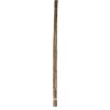 Pflanzstab Bambus Ø 6-8 mm x 75 cm 10 Stück