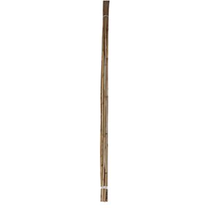 Bambusstab Ø 5-15 mm x 150 cm 10 Stk.
