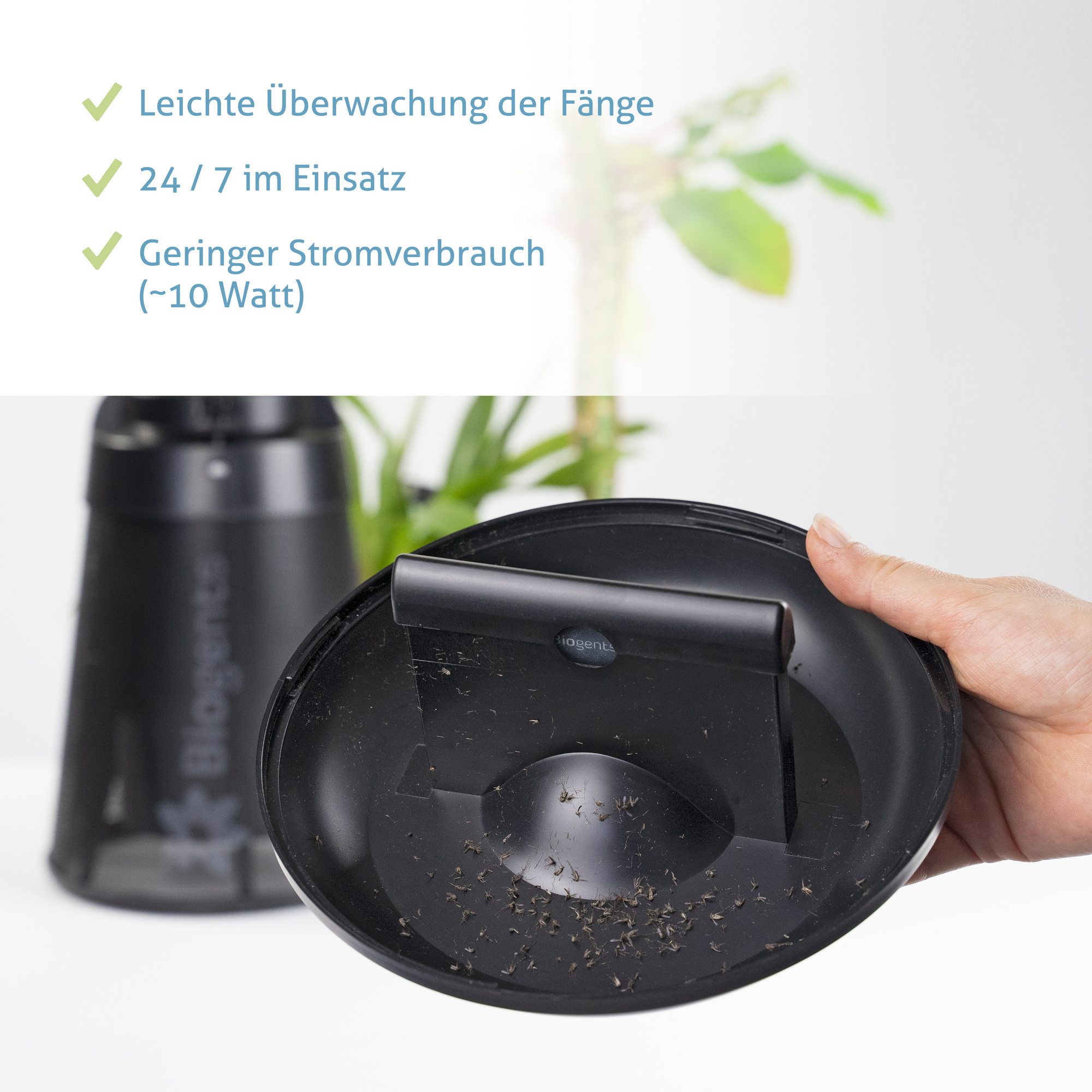 Indoor Mückenfalle 'BG-Home' schwarz Ø 19,5 cm