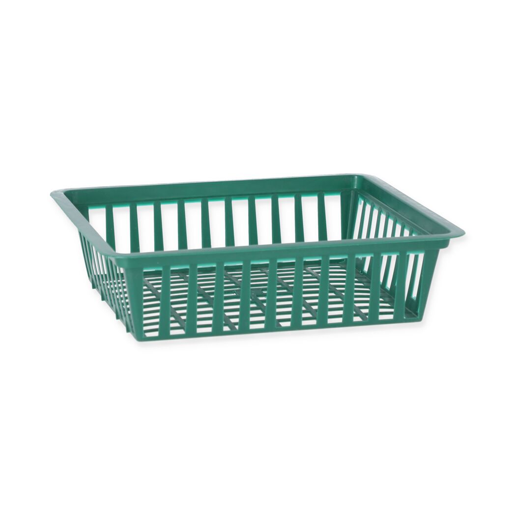 Zwiebelpflanzschale grün28 x 26 cm 3 Stück