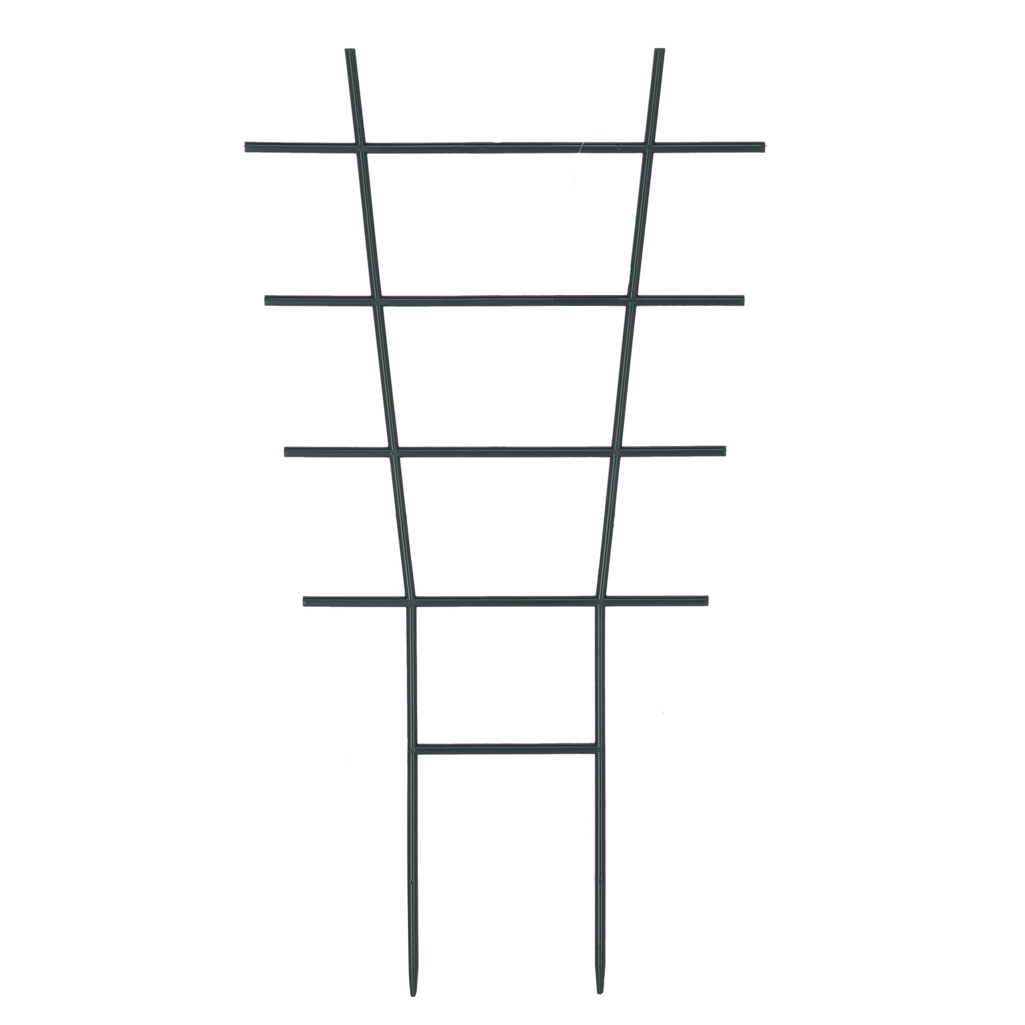 Schwarzes Blumengitter