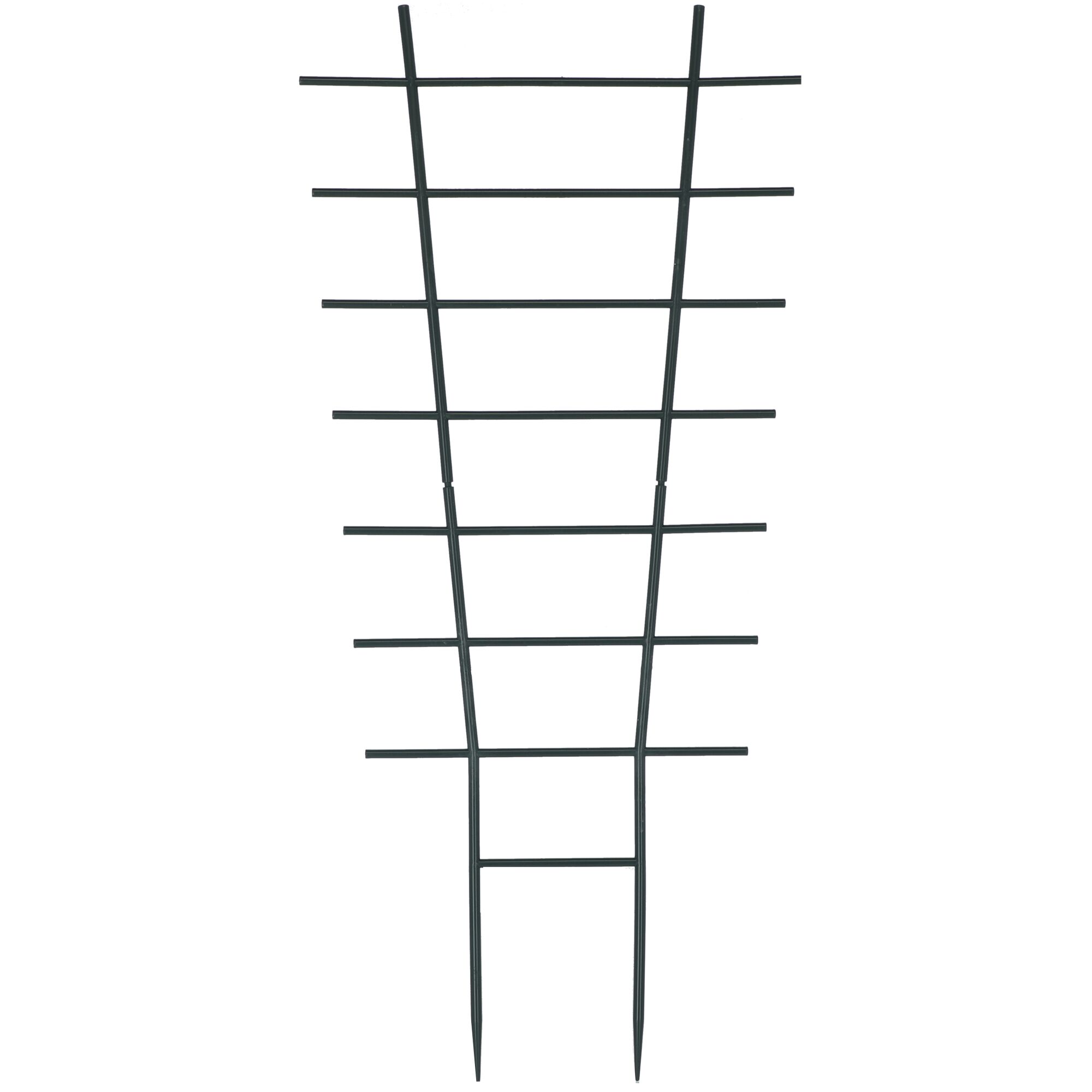Schwarzes Blumengitter