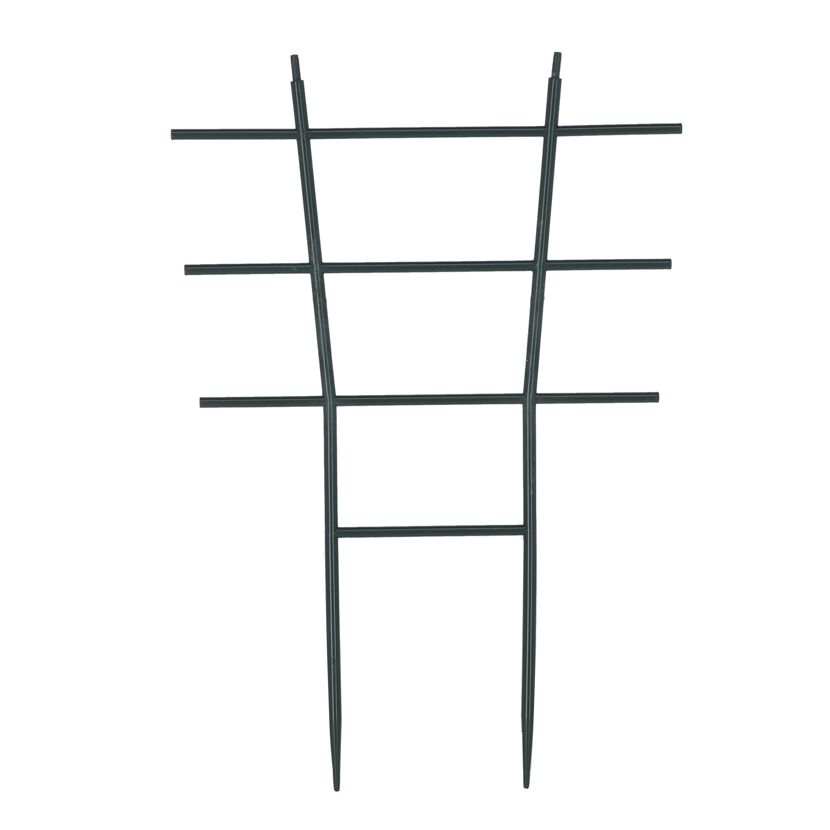 Schwarzes Blumengitter