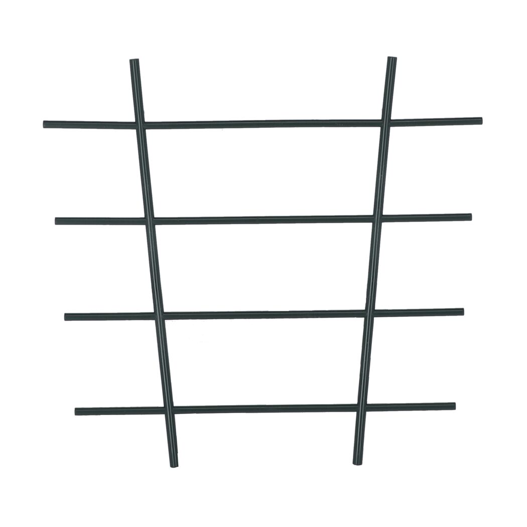 Schwarzes Blumengitter