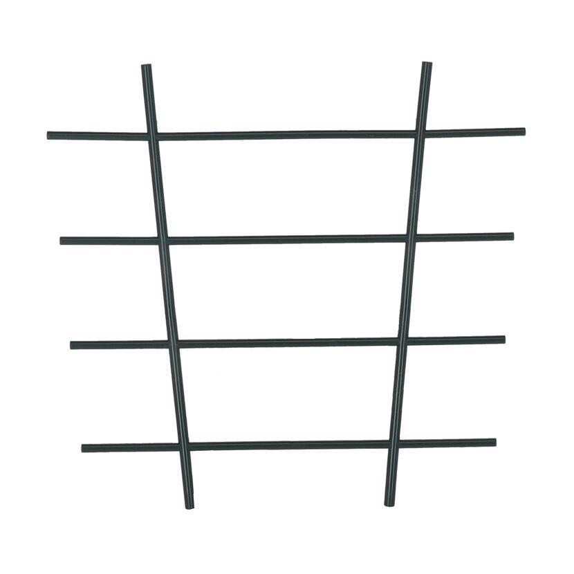 Schwarzes Blumengitter