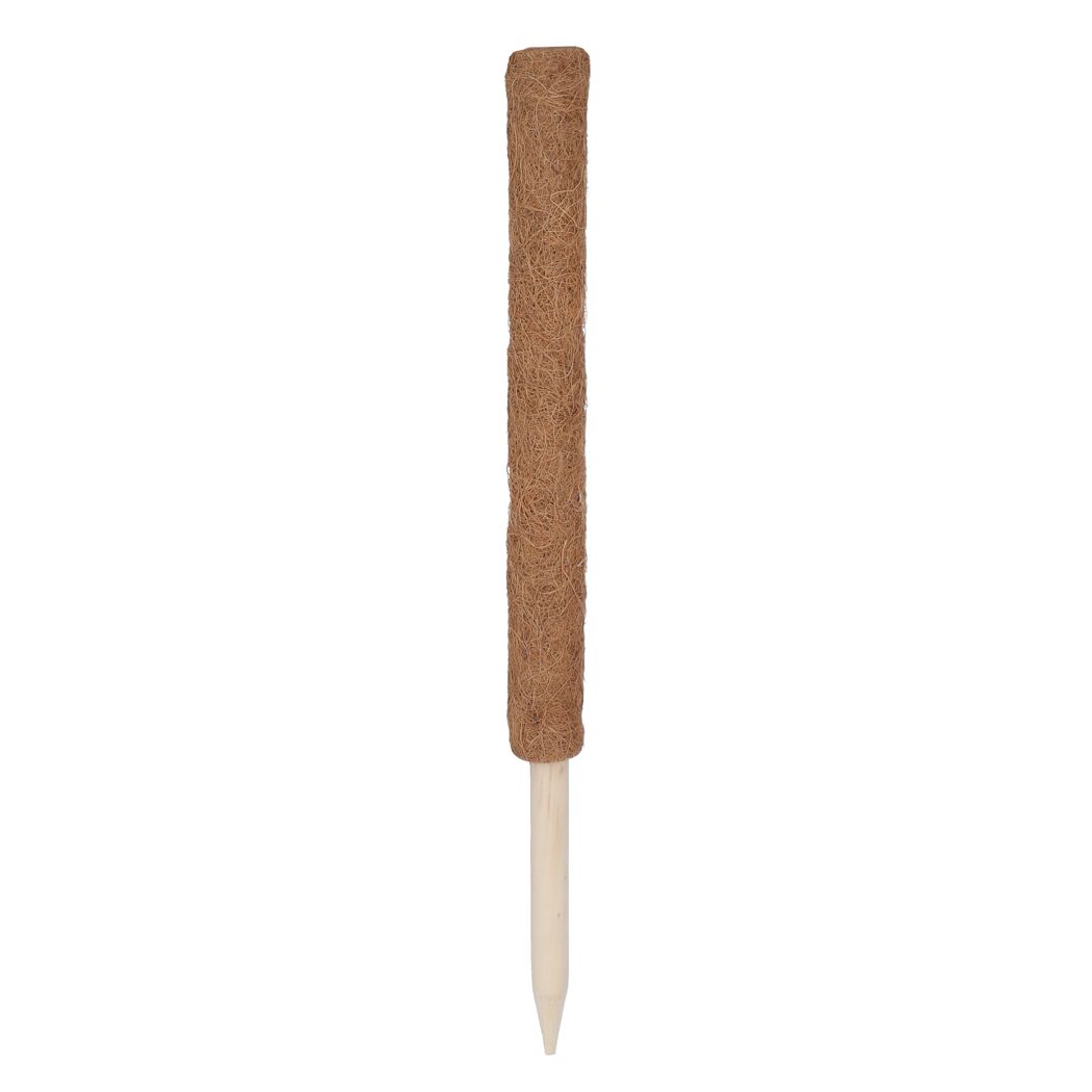 Kokosstab 80 cm