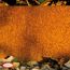 Rasenkante Cortenstahl rostfarben 118 x 20 cm