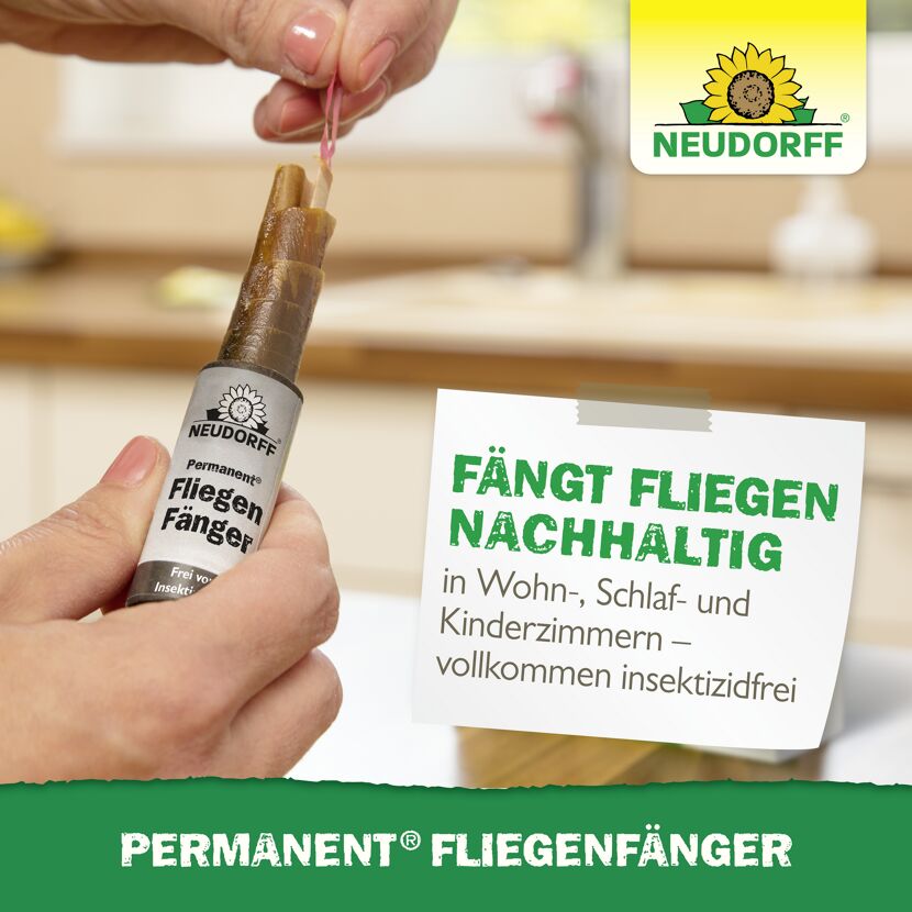 Permanent Fliegenfänger 4 Stück