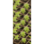 Anzuchttöpfe 5 x 5 cm 36 Stück