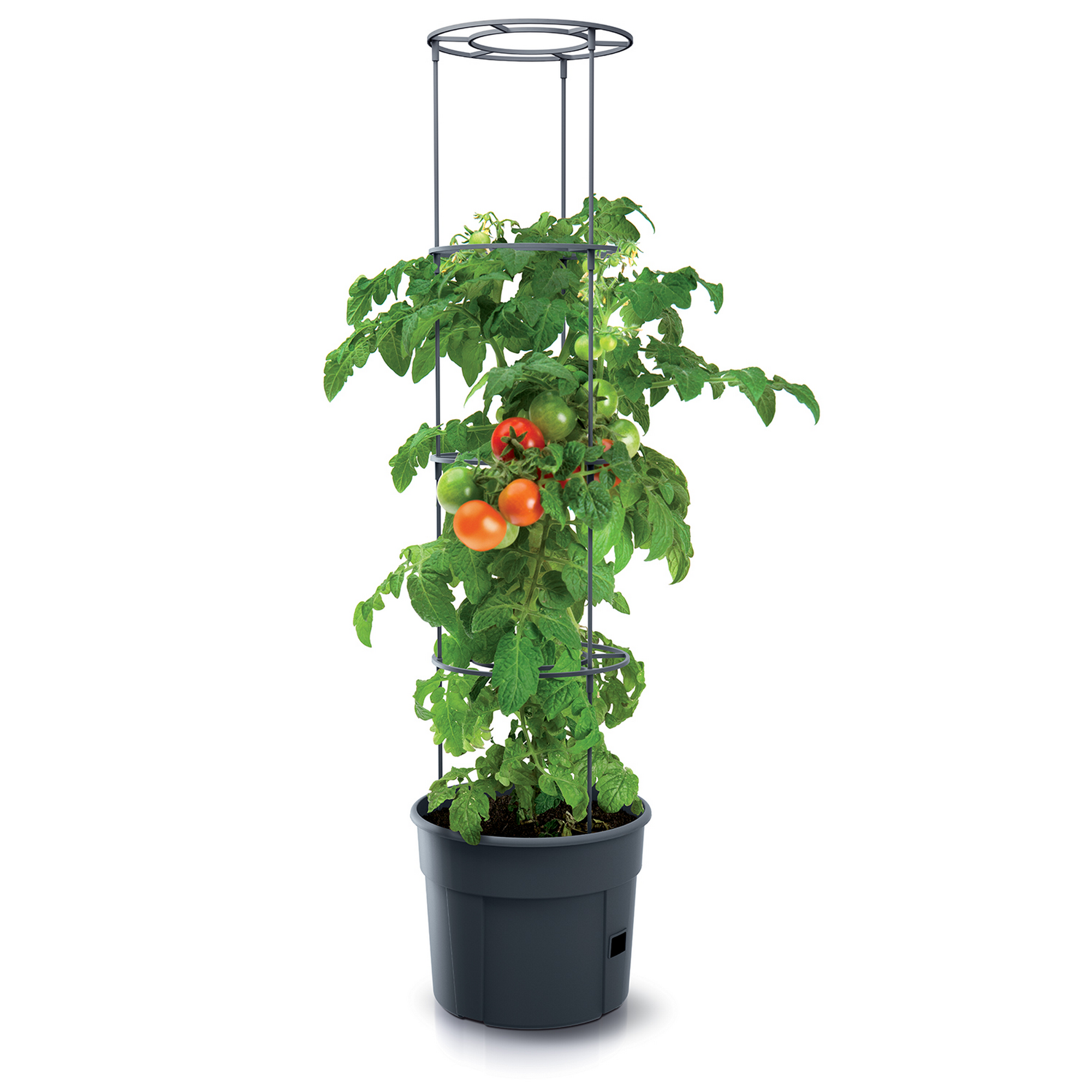 Tomatenpflanztopf anthrazit Ø 39 cm, mit Rankhilfe + product picture