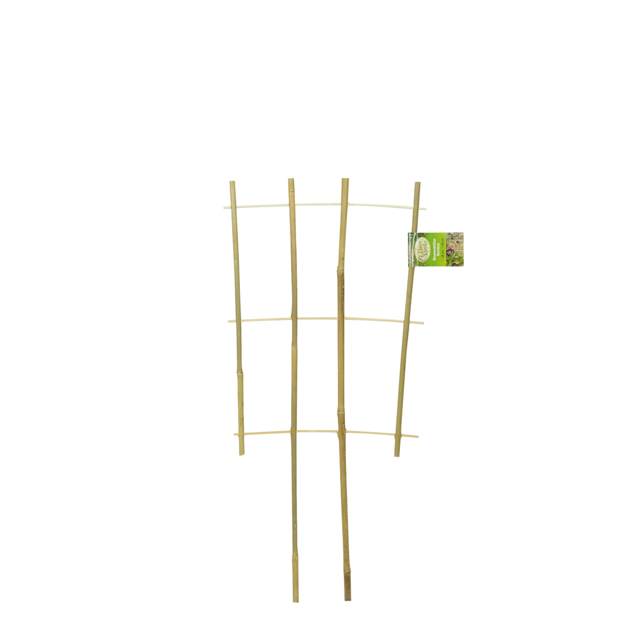 Rankgitter 'Mini M' Bambus 34 x 80 cm